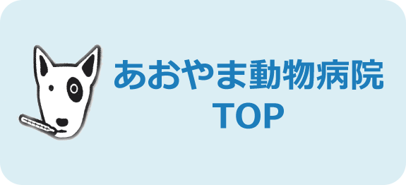 あおやま動物病院TOP