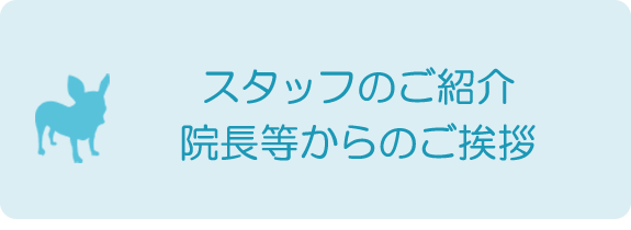 スタッフのご紹介 院長等からのご挨拶