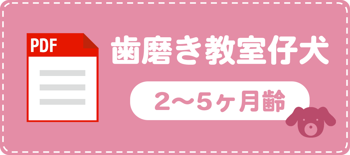 歯磨き教室 仔犬（2～5カ月齢）