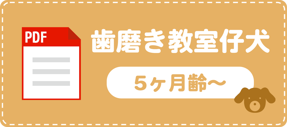 歯磨き教室 成犬（5カ月齢～）