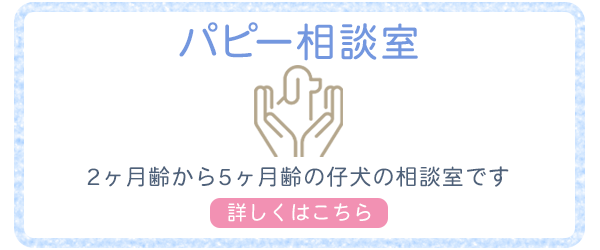 バナー：パピー相談室　2ヶ月齢から5ヶ月齢の仔犬の相談室です