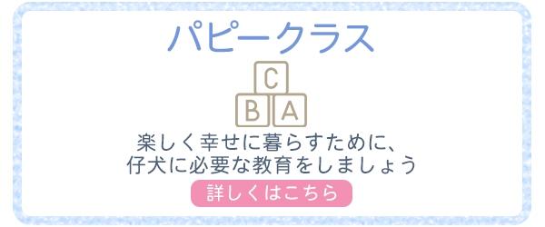 バナー：パピークラス　楽しく暮らすために、仔犬に必要な教育をしましょう。