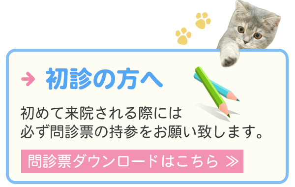 バナー：初診の方へ　問診表ダウンロード