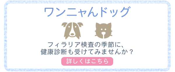 バナー：ワンニャンドッグ　フィラリア検査の季節に、健康診断も受けてみませんか？