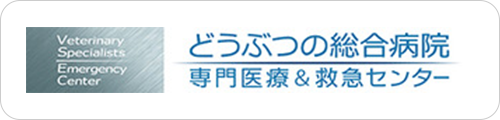 バナー：どうぶつの総合病院